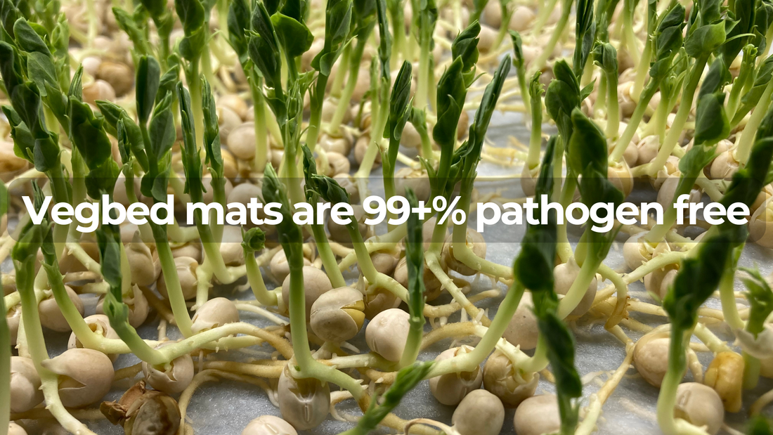 Clean bamboo fiber grow mats by Vegbed designed for safe microgreen production