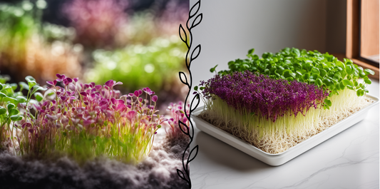 Troubleshooting Common Microgreen Problems: A Comprehensive Guide to Maintaining Healthy Crops