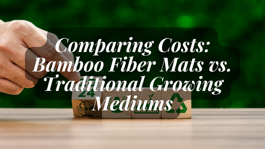 Healthy microgreens growing on biodegradable bamboo fiber mats.