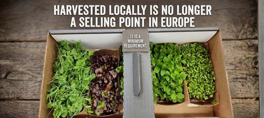 Assorted organic live microgreen punnets arranged in an eco-friendly cardboard display box, featuring pea shoots and red cabbage microgreens.