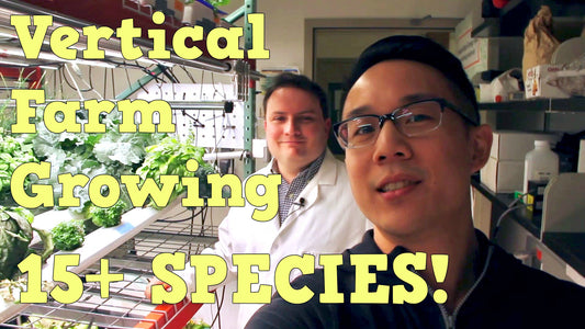 Vertical Farm Growing 15+ Species! | Future Farms and Food Ep. 1 | Dr. Paul Gauthier Interview