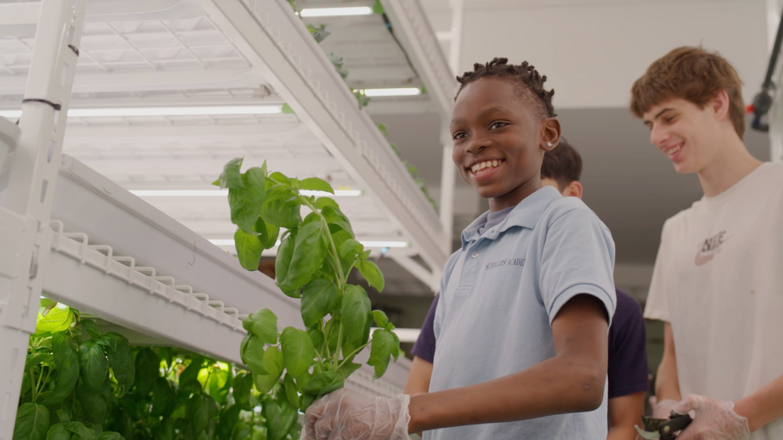 A student scholar meticulously tending to a high-capacity hydroponic vertical farm inside a school building