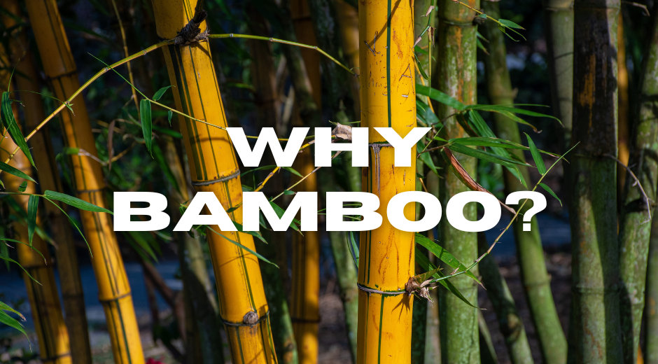 The Benefits of Using Bamboo Fiber Mats for Microgreens