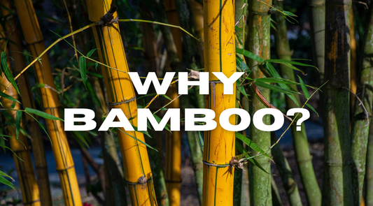 The Benefits of Using Bamboo Fiber Mats for Microgreens