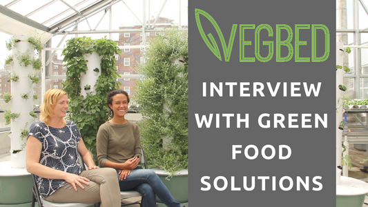 Future Farms and Food Episode 2 - Interview with Green Food Solutions | Vertical Tower Gardens