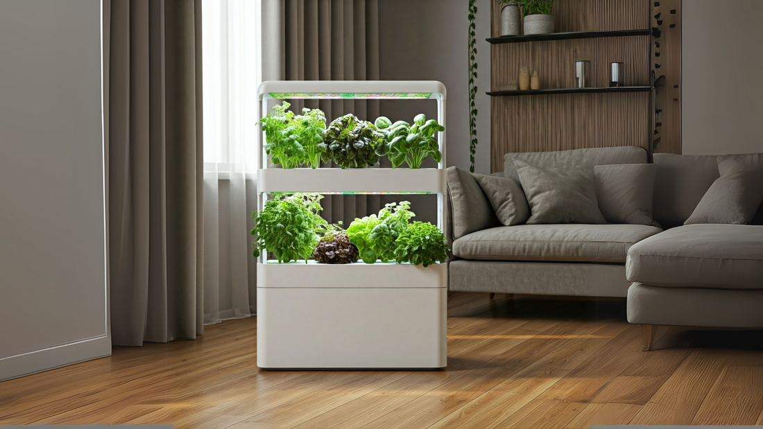 Aerogarden indoor hydroponic system with vibrant herbs growing under LED lights