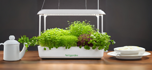 Growing Microgreens in an AeroGarden: A Complete Guide