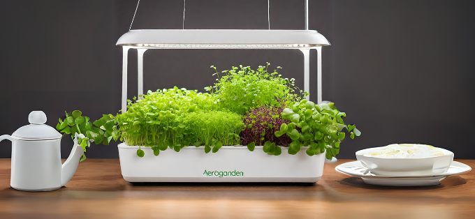 Growing Microgreens in an AeroGarden: A Complete Guide
