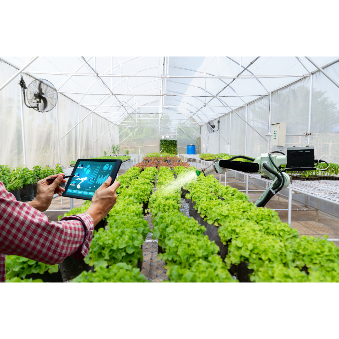 Hydroponic Systems 101: Which One is Right for Your Space and Budget?