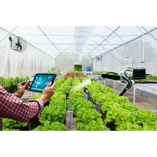 Hydroponic Systems 101: Which One is Right for Your Space and Budget?