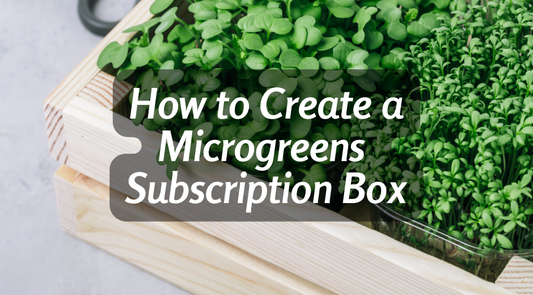 A beautifully curated microgreens subscription box featuring fresh, vibrant greens ready for delivery.