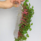 hand holding vegbed bamboo fiber mat with microgreens growing